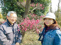 花をつけた梅を楽しむ浅沼さんと妻の千恵子さん