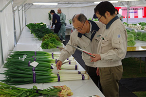 第44回町田市農業祭 農産物品評会の部 特別賞受賞結果